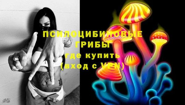 прущая мука Губаха