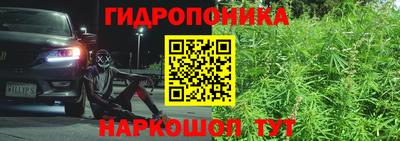 индика Малгобек