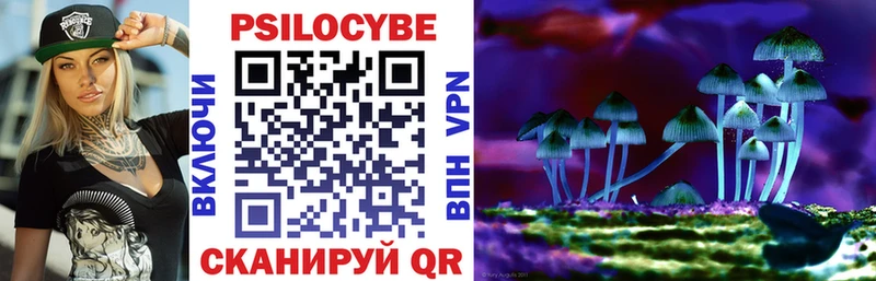 Галлюциногенные грибы Psilocybine cubensis Коряжма