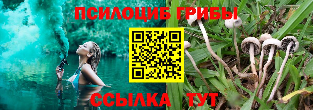 Галлюциногенные грибы Psilocybe  Псилоцибиновые грибы мухоморы  Вход с VPN  Коряжма 