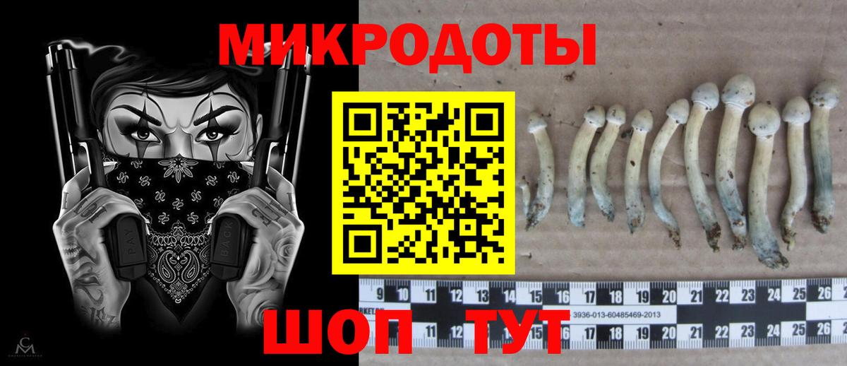 Галлюциногенные грибы ЛСД Коряжма